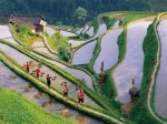 the terraces reclaimed by people of the Zhuang nationality in Guilin